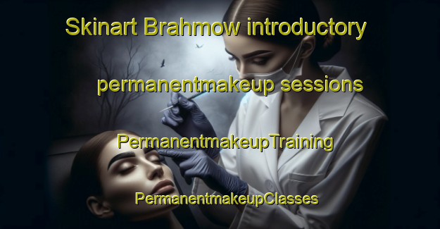 Skinart Brahmow introductory permanentmakeup sessions | PermanentmakeupTraining | PermanentmakeupClasses | SkinartTraining-Germany