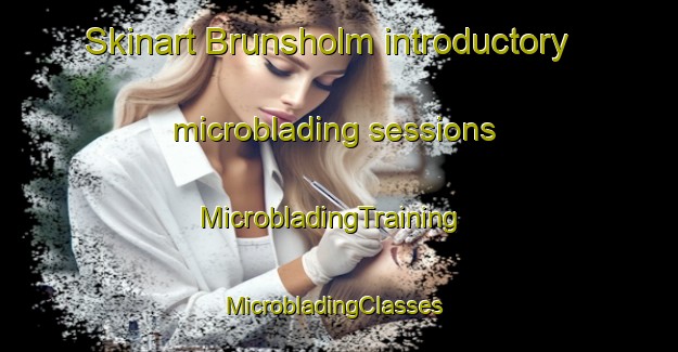 Skinart Brunsholm introductory microblading sessions | MicrobladingTraining | MicrobladingClasses | SkinartTraining-Germany