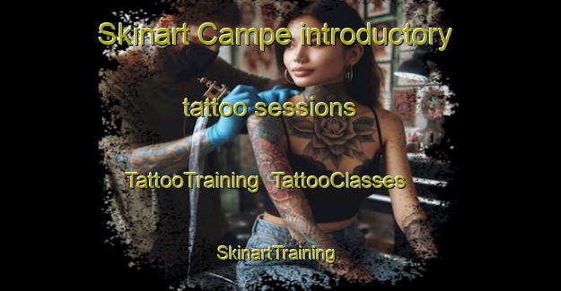 Skinart Campe introductory tattoo sessions | TattooTraining | TattooClasses | SkinartTraining-Germany