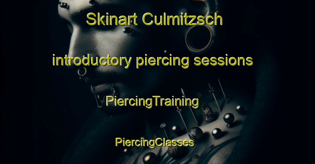Skinart Culmitzsch introductory piercing sessions | PiercingTraining | PiercingClasses | SkinartTraining-Germany