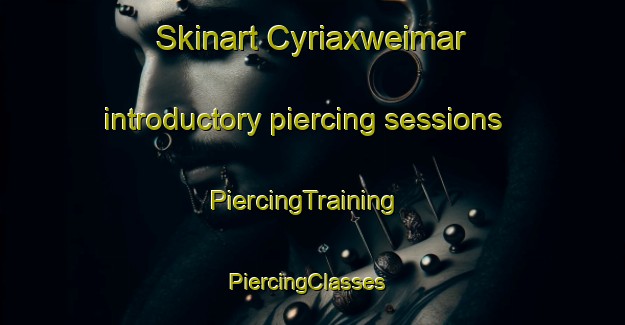 Skinart Cyriaxweimar introductory piercing sessions | PiercingTraining | PiercingClasses | SkinartTraining-Germany