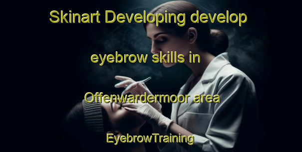 Skinart Developing develop eyebrow skills in Offenwardermoor area | EyebrowTraining | EyebrowClasses | SkinartTraining-Germany