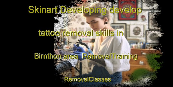 Skinart Developing develop tattoo removal skills in Birnthon area | RemovalTraining | RemovalClasses | SkinartTraining-Germany