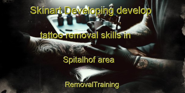 Skinart Developing develop tattoo removal skills in Spitalhof area | RemovalTraining | RemovalClasses | SkinartTraining-Germany