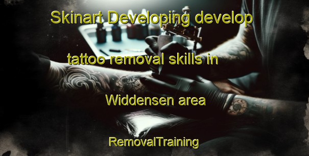 Skinart Developing develop tattoo removal skills in Widdensen area | RemovalTraining | RemovalClasses | SkinartTraining-Germany