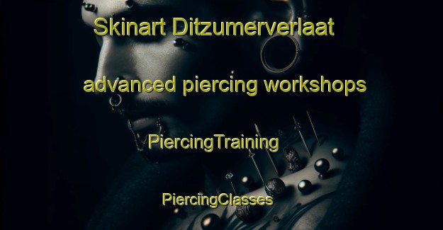 Skinart Ditzumerverlaat advanced piercing workshops | PiercingTraining | PiercingClasses | SkinartTraining-Germany
