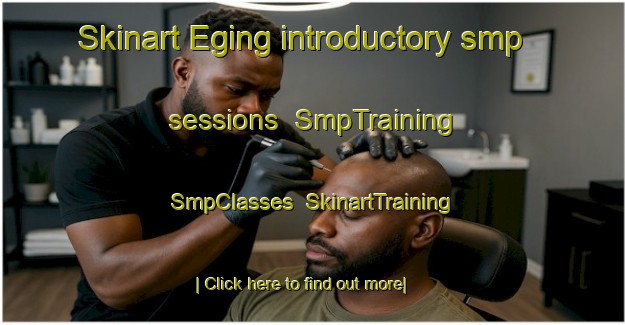 Skinart Eging introductory smp sessions | SmpTraining | SmpClasses | SkinartTraining-Germany