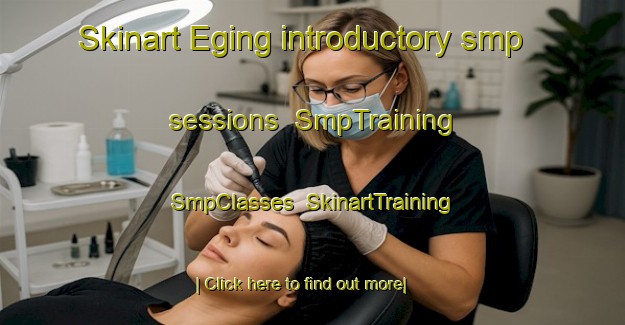 Skinart Eging introductory smp sessions | SmpTraining | SmpClasses | SkinartTraining-Germany