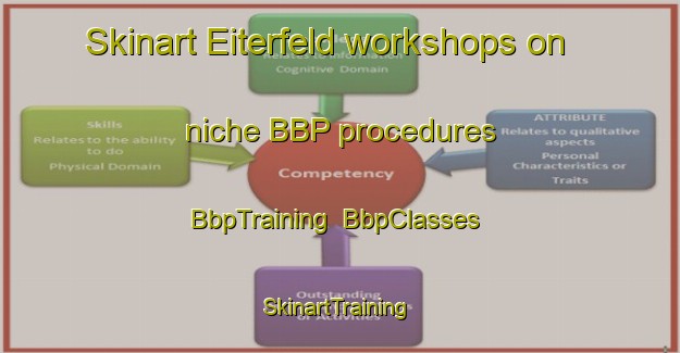 Skinart Eiterfeld workshops on niche BBP procedures | BbpTraining | BbpClasses | SkinartTraining-Germany