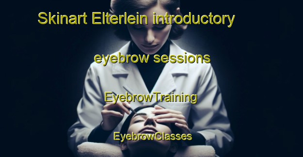 Skinart Elterlein introductory eyebrow sessions | EyebrowTraining | EyebrowClasses | SkinartTraining-Germany