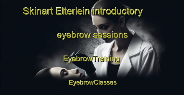Skinart Elterlein introductory eyebrow sessions | EyebrowTraining | EyebrowClasses | SkinartTraining-Germany