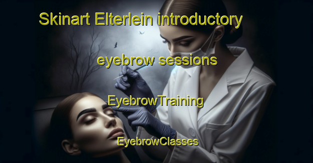 Skinart Elterlein introductory eyebrow sessions | EyebrowTraining | EyebrowClasses | SkinartTraining-Germany