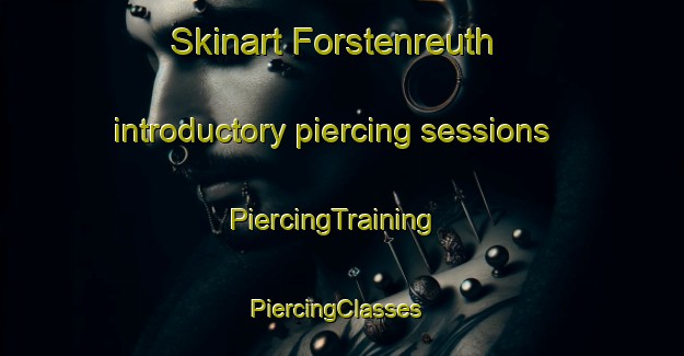 Skinart Forstenreuth introductory piercing sessions | PiercingTraining | PiercingClasses | SkinartTraining-Germany
