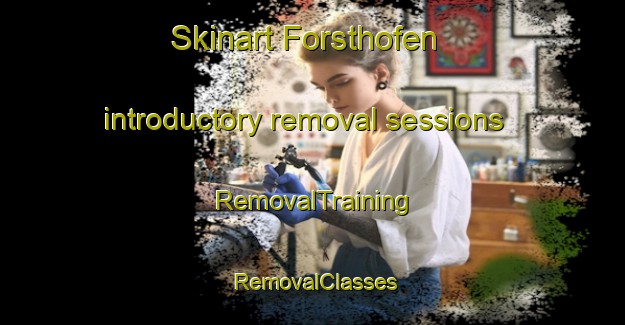 Skinart Forsthofen introductory removal sessions | RemovalTraining | RemovalClasses | SkinartTraining-Germany