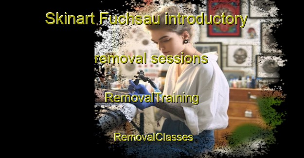 Skinart Fuchsau introductory removal sessions | RemovalTraining | RemovalClasses | SkinartTraining-Germany