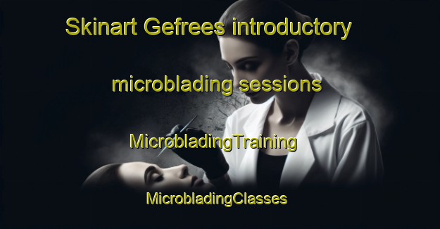 Skinart Gefrees introductory microblading sessions | MicrobladingTraining | MicrobladingClasses | SkinartTraining-Germany
