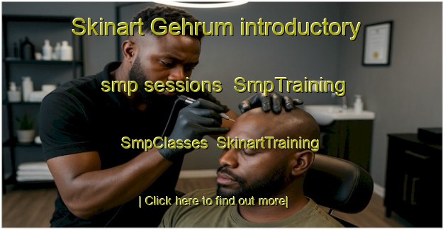 Skinart Gehrum introductory smp sessions | SmpTraining | SmpClasses | SkinartTraining-Germany