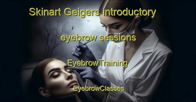 Skinart Geigers introductory eyebrow sessions | EyebrowTraining | EyebrowClasses | SkinartTraining-Germany