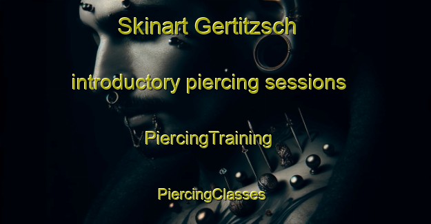 Skinart Gertitzsch introductory piercing sessions | PiercingTraining | PiercingClasses | SkinartTraining-Germany