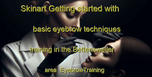 Skinart Getting started with basic eyebrow techniques training in the Bettensweiler area | EyebrowTraining | EyebrowClasses | SkinartTraining-Germany
