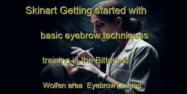 Skinart Getting started with basic eyebrow techniques training in the Bitterfeld Wolfen area | EyebrowTraining | EyebrowClasses | SkinartTraining-Germany