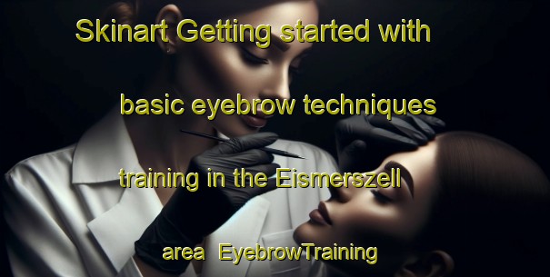 Skinart Getting started with basic eyebrow techniques training in the Eismerszell area | EyebrowTraining | EyebrowClasses | SkinartTraining-Germany