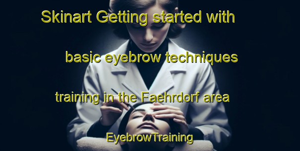 Skinart Getting started with basic eyebrow techniques training in the Faehrdorf area | EyebrowTraining | EyebrowClasses | SkinartTraining-Germany