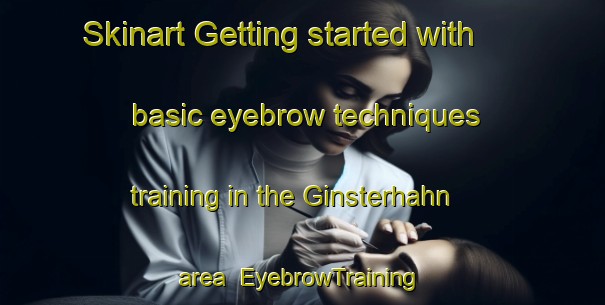 Skinart Getting started with basic eyebrow techniques training in the Ginsterhahn area | EyebrowTraining | EyebrowClasses | SkinartTraining-Germany