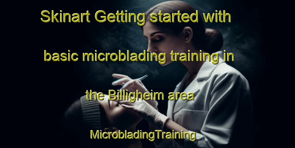 Skinart Getting started with basic microblading training in the Billigheim area | MicrobladingTraining | MicrobladingClasses | SkinartTraining-Germany
