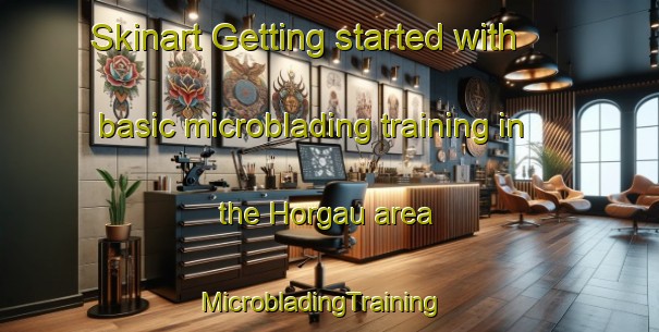 Skinart Getting started with basic microblading training in the Horgau area | MicrobladingTraining | MicrobladingClasses | SkinartTraining-Germany