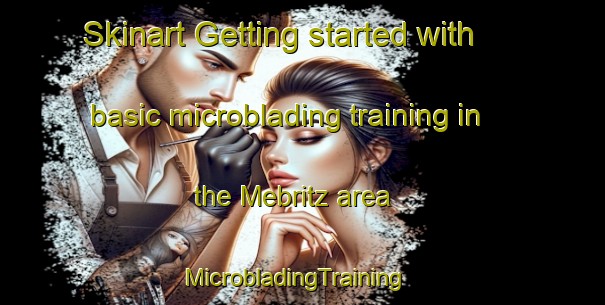 Skinart Getting started with basic microblading training in the Mebritz area | MicrobladingTraining | MicrobladingClasses | SkinartTraining-Germany