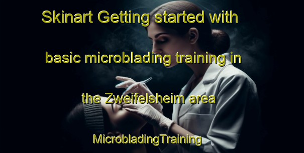Skinart Getting started with basic microblading training in the Zweifelsheim area | MicrobladingTraining | MicrobladingClasses | SkinartTraining-Germany