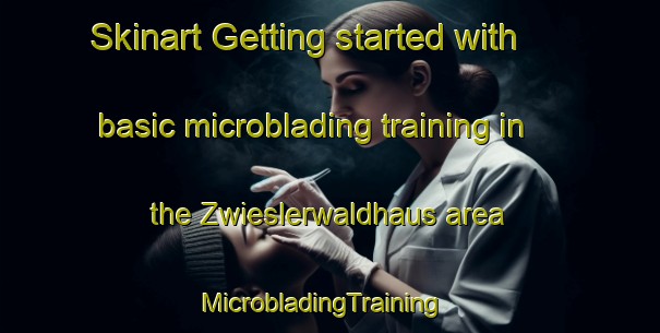 Skinart Getting started with basic microblading training in the Zwieslerwaldhaus area | MicrobladingTraining | MicrobladingClasses | SkinartTraining-Germany