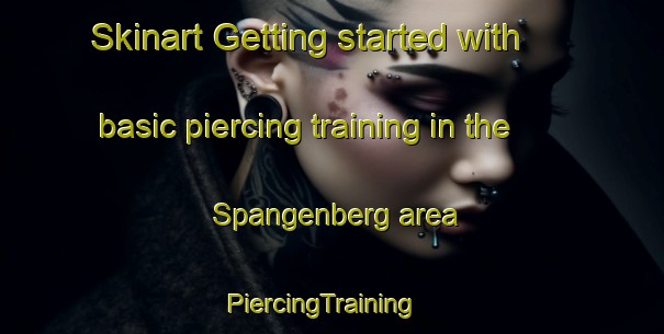 Skinart Getting started with basic piercing training in the Spangenberg area | PiercingTraining | PiercingClasses | SkinartTraining-Germany