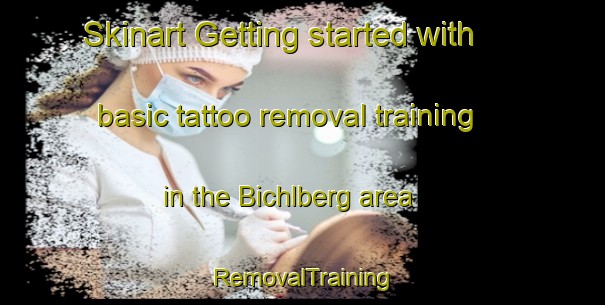 Skinart Getting started with basic tattoo removal training in the Bichlberg area | RemovalTraining | RemovalClasses | SkinartTraining-Germany