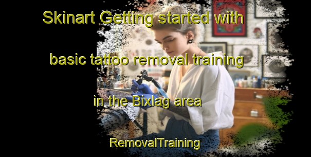 Skinart Getting started with basic tattoo removal training in the Bixlag area | RemovalTraining | RemovalClasses | SkinartTraining-Germany
