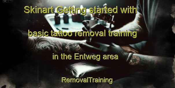 Skinart Getting started with basic tattoo removal training in the Entweg area | RemovalTraining | RemovalClasses | SkinartTraining-Germany