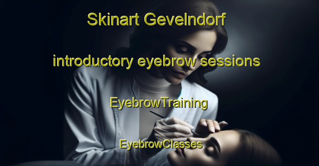 Skinart Gevelndorf introductory eyebrow sessions | EyebrowTraining | EyebrowClasses | SkinartTraining-Germany