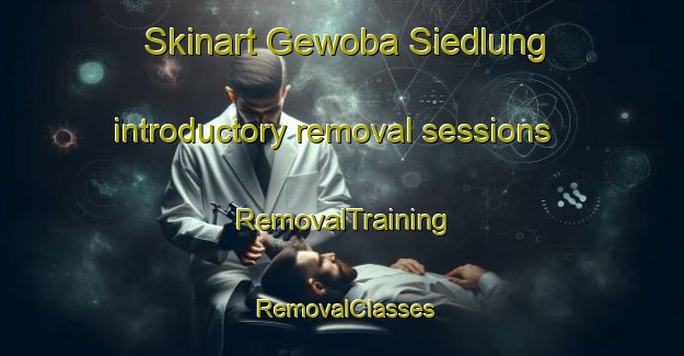 Skinart Gewoba Siedlung introductory removal sessions | RemovalTraining | RemovalClasses | SkinartTraining-Germany
