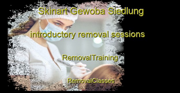 Skinart Gewoba Siedlung introductory removal sessions | RemovalTraining | RemovalClasses | SkinartTraining-Germany