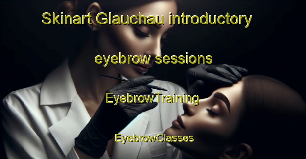 Skinart Glauchau introductory eyebrow sessions | EyebrowTraining | EyebrowClasses | SkinartTraining-Germany