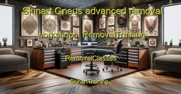 Skinart Gneus advanced removal workshops | RemovalTraining | RemovalClasses | SkinartTraining-Germany