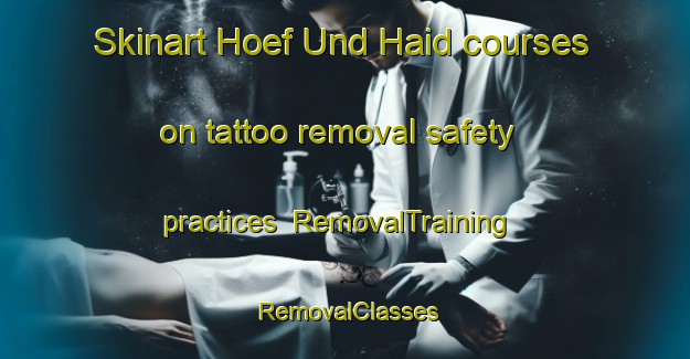 Skinart Hoef Und Haid courses on tattoo removal safety practices | RemovalTraining | RemovalClasses | SkinartTraining-Germany