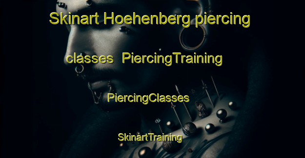 Skinart Hoehenberg piercing classes | PiercingTraining | PiercingClasses | SkinartTraining-Germany