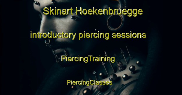 Skinart Hoekenbruegge introductory piercing sessions | PiercingTraining | PiercingClasses | SkinartTraining-Germany