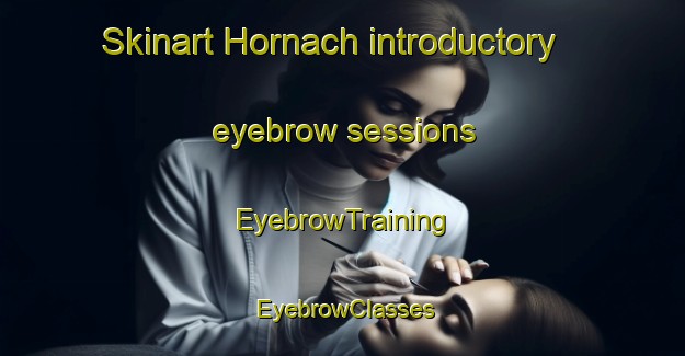 Skinart Hornach introductory eyebrow sessions | EyebrowTraining | EyebrowClasses | SkinartTraining-Germany
