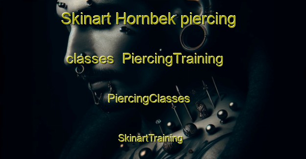 Skinart Hornbek piercing classes | PiercingTraining | PiercingClasses | SkinartTraining-Germany