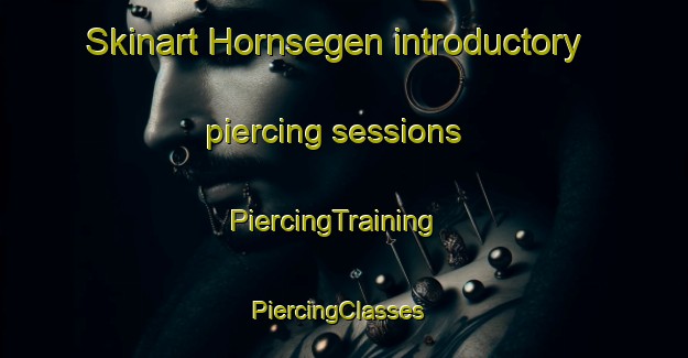 Skinart Hornsegen introductory piercing sessions | PiercingTraining | PiercingClasses | SkinartTraining-Germany