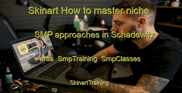 Skinart How to master niche SMP approaches in Schadewitz area | SmpTraining | SmpClasses | SkinartTraining-Germany