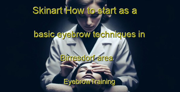 Skinart How to start as a basic eyebrow techniques in Birresdorf area | EyebrowTraining | EyebrowClasses | SkinartTraining-Germany
